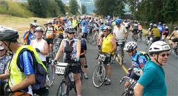 Local Cycling Clubs